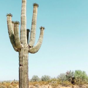 Meet your Posher, Corinna